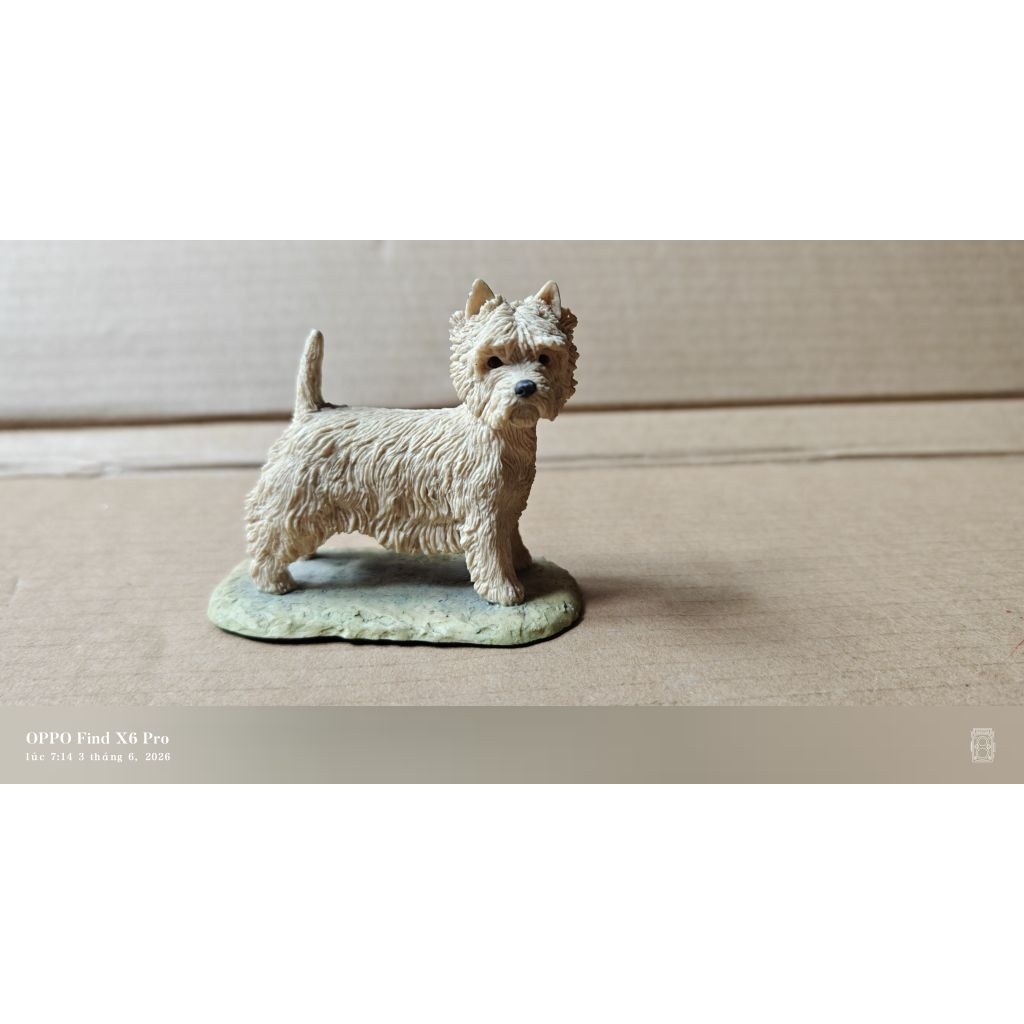 chó West Highland White Terrier Border Fine Arts Westie 1982 được điêu khắc tinh xảo cao 8cm