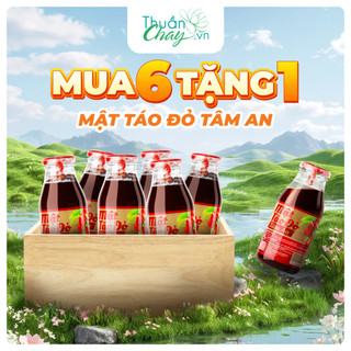 [COMBO 6 TẶNG 1] Mật Táo Đỏ Tâm An - 250ml