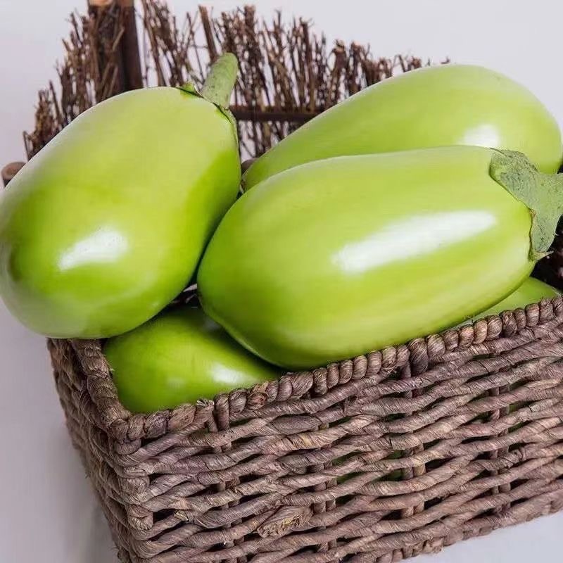Hạt Giống Cà Bát Xanh Cà Dễ Trồng - Dwarf Eggplant Seeds-200 Seeds