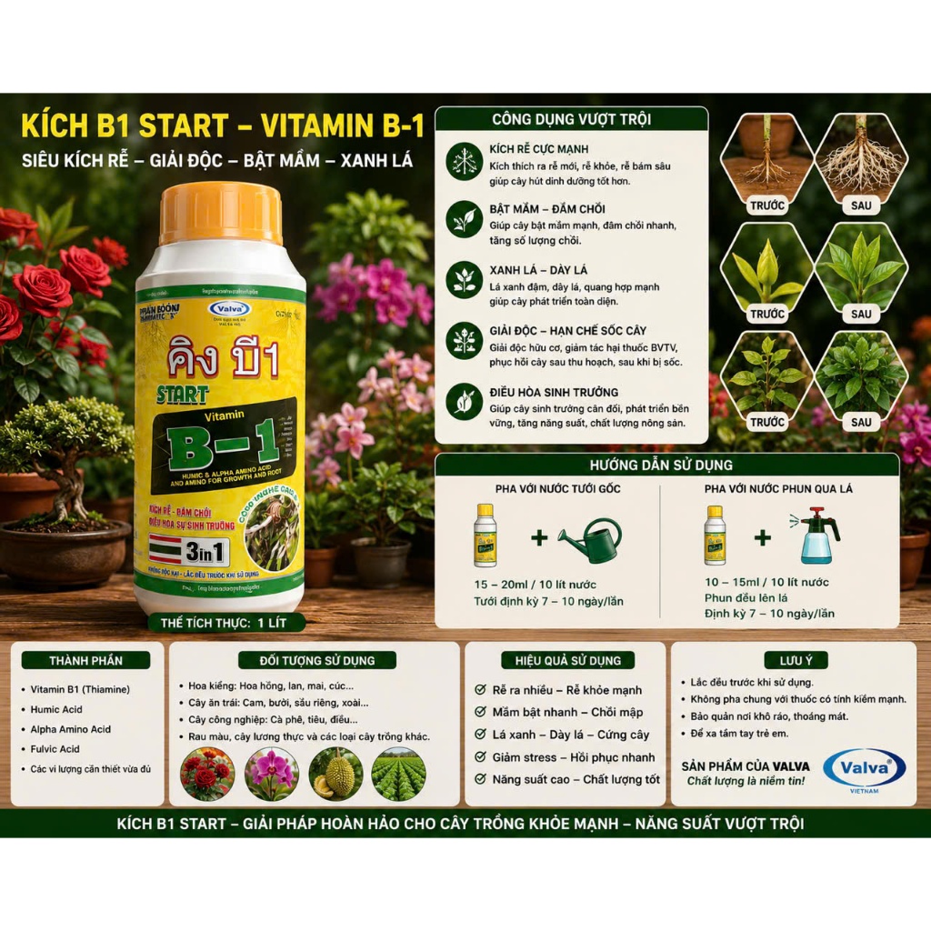 Vitamin b1 Thái Lan vang đậm đặc lọ 100ml ,1 lít b1 thái kích rễ bật mầm chồi