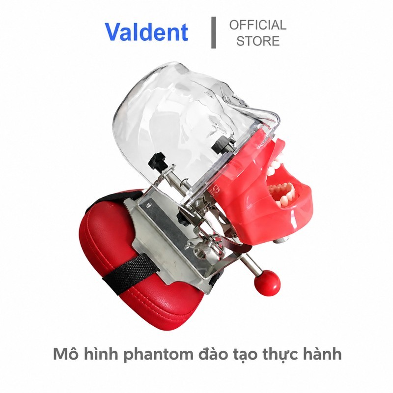 PHANTOM THỰC HÀNH NHA KHOA CÓ HÀM VÀ RĂNG  - DỤNG CỤ MÔ PHỎNG BỆNH NHÂN LÂM SÀNG - HÀM NHỰA GIẢ - DỤ