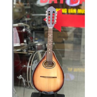 Đàn mangdolin Việt Nam