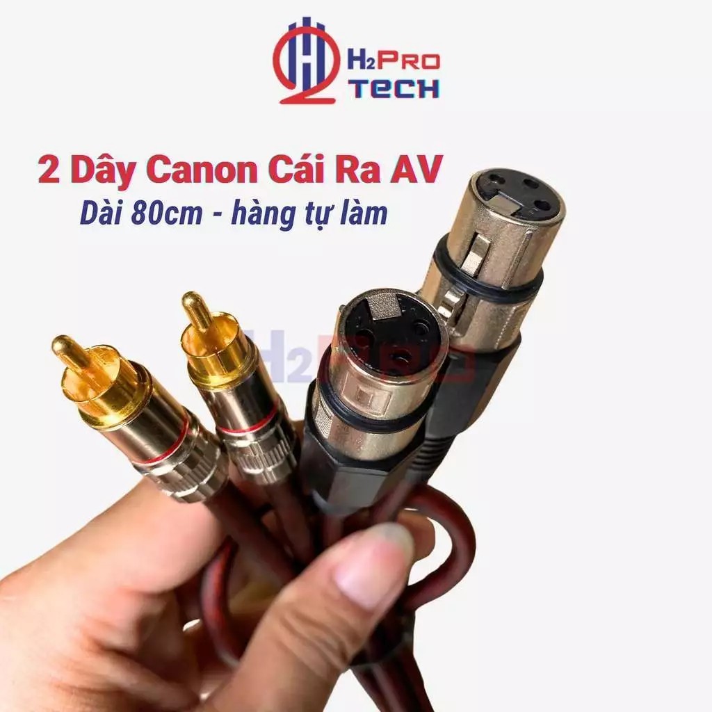 [TOP VALUE] 2 Dây Canon Cái Ra Av Hoa Sen Cao Cấp Dài 80Cm, Chống Sôi-Nhiễu, Kết Nối Vang Xuống Ampl