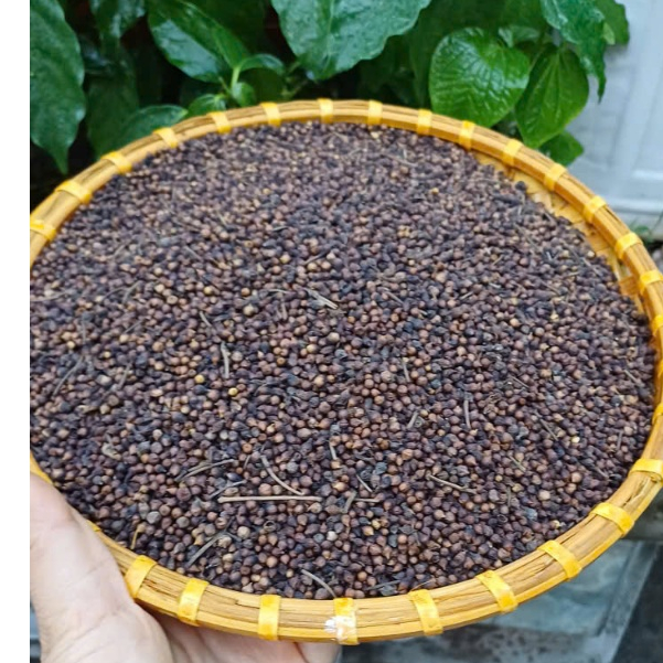 Trà Nụ Vối Khô 500gr Hấp Ủ Tự Nhiên, Khử Đắng Hiệu Quả, Hương Thơm Dịu, Pha Uống Hằng Ngày