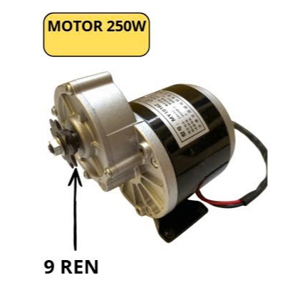 Động cơ giảm tốc 12V-250W, 24V-250W