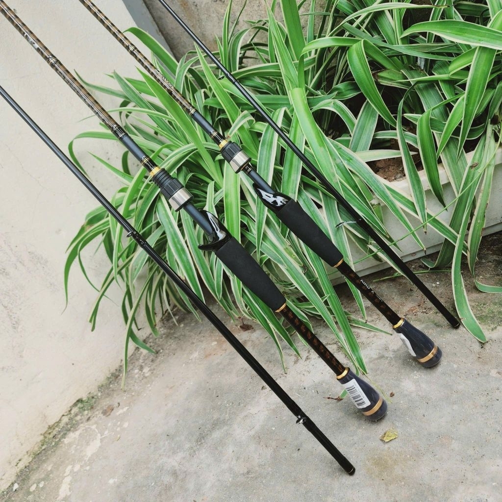 cần lure câu cá Daiwa AIRD X, cần câu lure