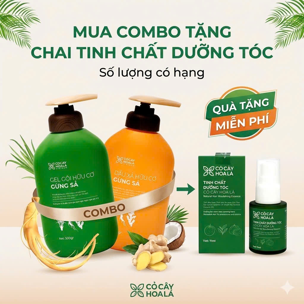 Dầu gội, xả thảo dược gừng sả Cỏ Cây Hoa Lá ngăn tóc bết dầu, giảm gãy rụng khô xơ gàu ngứa 500ml