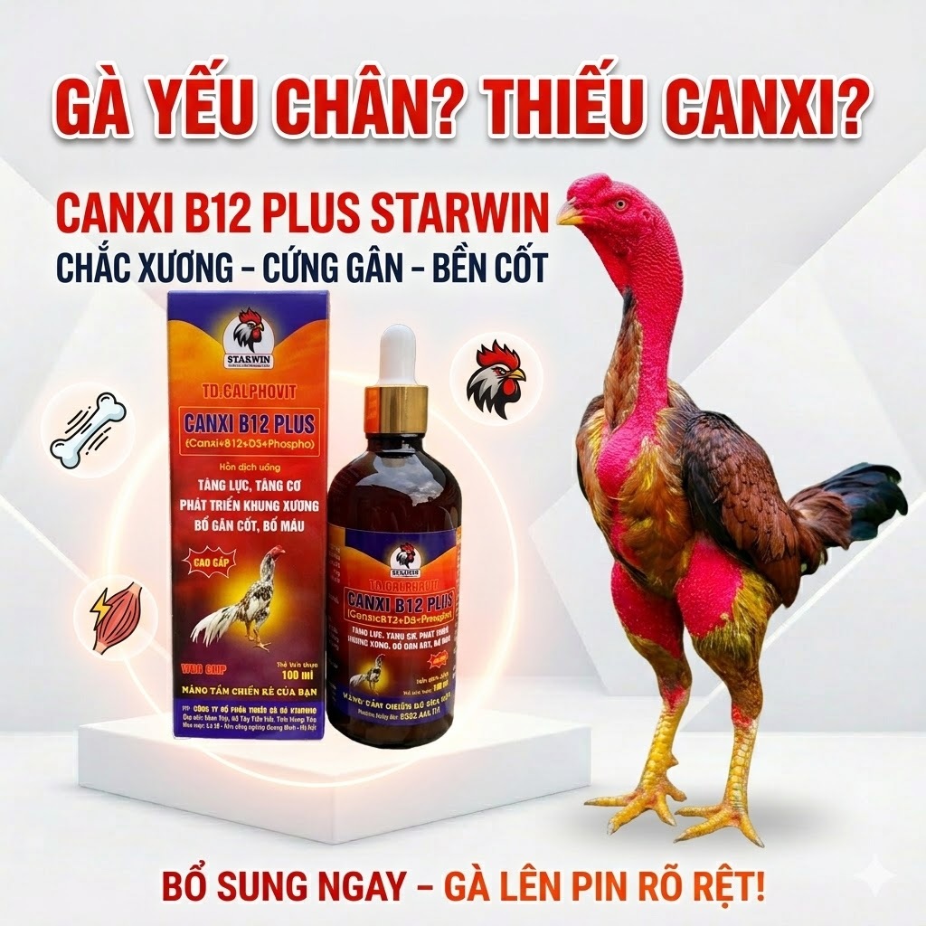 Canxi B12 Plus 100ml Starwin – Hỗ Trợ Bổ Sung Canxi, Vitamin Và Khoáng Chất Cho Gà