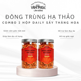 (Mua 2 Tặng 1) Combo 2 Hộp Đông Trùng Hạ Thảo Daily Sấy Thăng Hoa 35G - Dòng Cao Cấp Bồi Bổ Sức Khỏe