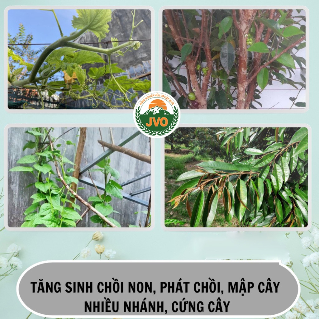 Phân bón Humic Amino USA 1KG kích rễ tăng trưởng cây