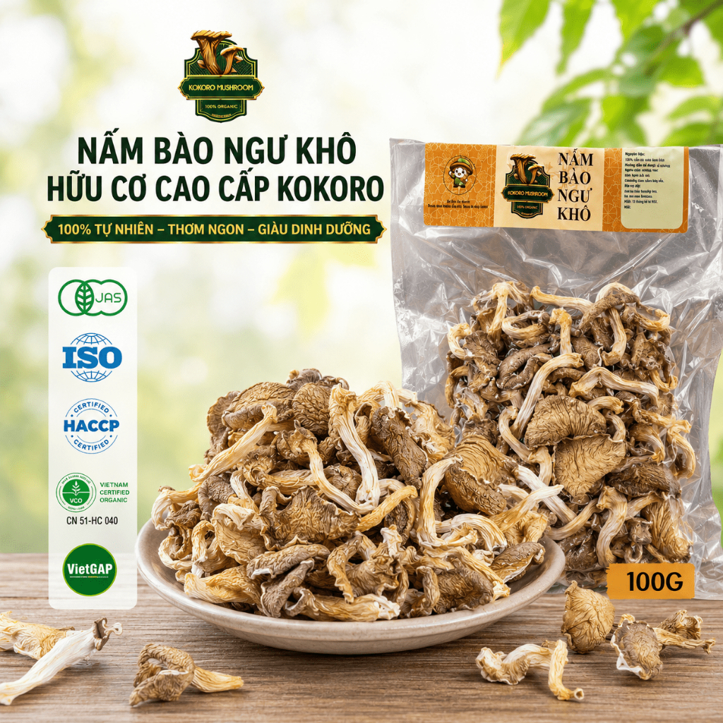 100G - 300G Nấm Bào Ngư Khô Hữu Cơ Cao Cấp Kokoro – Nấm Khô Nấu Canh, xào, Hầm Lẩu