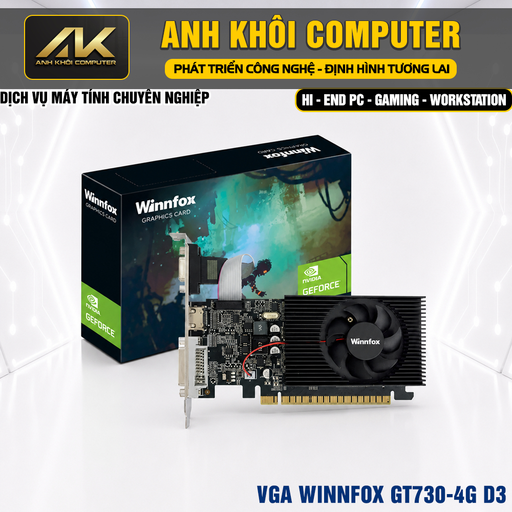 VGA WINNFOX GT730 4GB GDDR3 64Bit HDMI DP DVI Card Màn Hình Chính Hãng