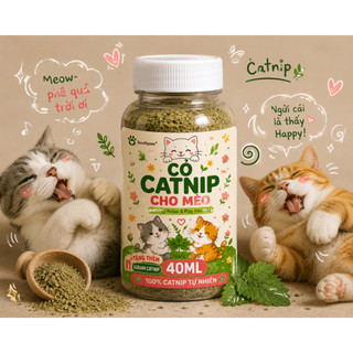Bột cỏ catnip cho mèo thư giãn - Lọ 40ml