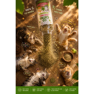 Bột cỏ catnip cho mèo thư giãn - Lọ 40ml