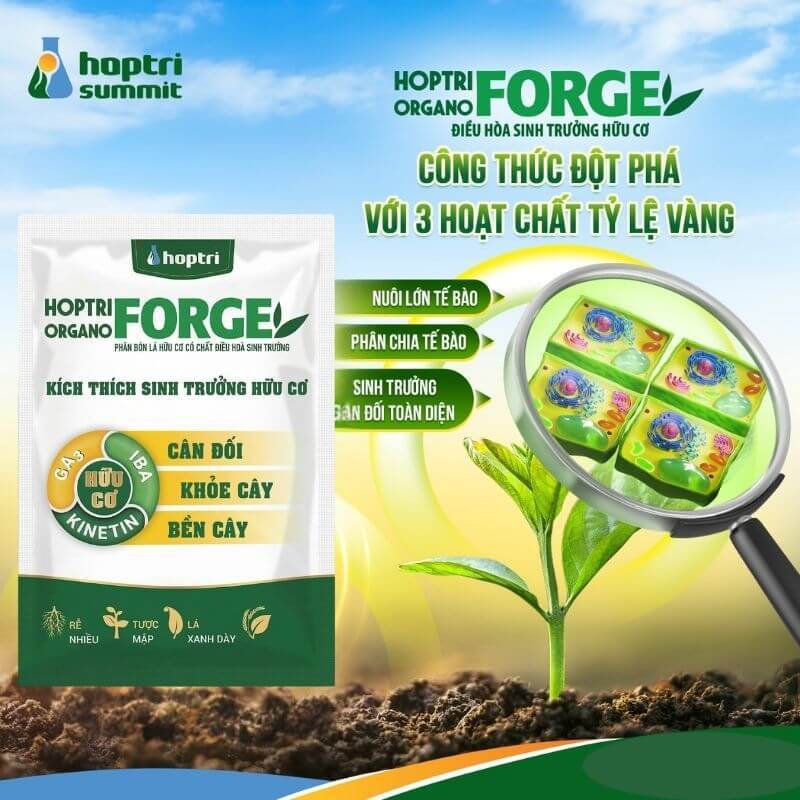 Phân Bón Lá Hữu Cơ ORGANO FORGE Hợp Trí - 25 Ml