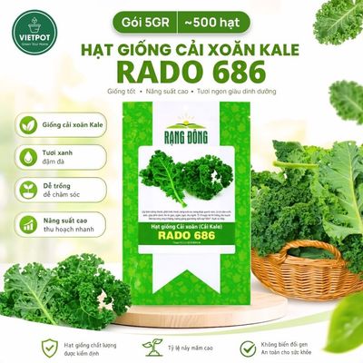 Hạt Giống Cải xoăn Kale Rado, Vietpot, Gói 5gr, Dễ Trồng, Nảy Mầm, Thu Hoạch, Năng Suất Cao.