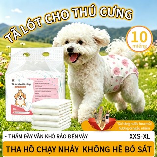 Tã Aikerrsu cho chó (đực+cái) – loại 10/20/40 miếng, chất liệu mát thoáng, thấm hút vượt trội, nhanh khô.
