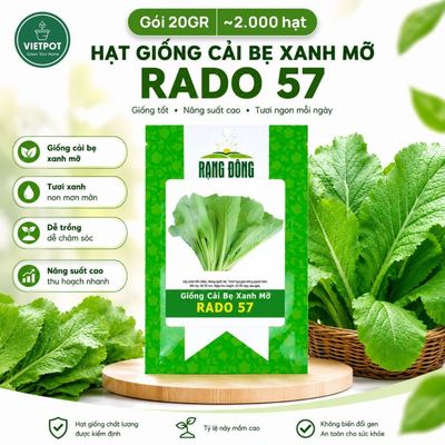 Hạt Giống Cải Bẹ Xanh Mỡ Rado, Vietpot, Gói 20gr, Dễ Trồng, Nảy Mầm, Thu Hoạch, Năng Suất Cao.