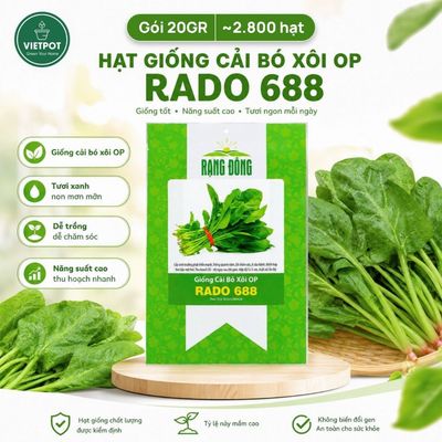 Hạt Giống Cải Bó Xôi Rado, Vietpot, Gói 20gr, Dễ Trồng, Nảy Mầm, Thu Hoạch, Năng Suất Cao.