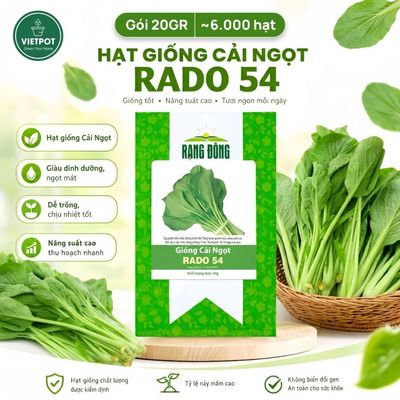 Hạt Giống Cải Ngọt Rado, Vietpot, Gói 20gr, Dễ Trồng, Nảy Mầm, Thu Hoạch, Năng Suất Cao.