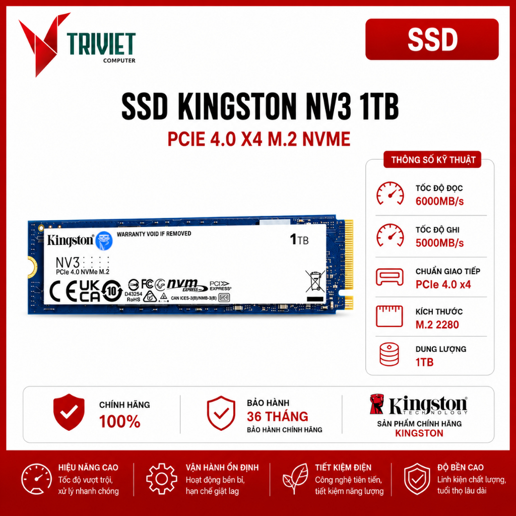 Ổ Cứng Gắn Trong SSD Kingston NV3 1TB PCIe 4.0 x4 M.2 NVMe (SNV3S/1000G)
