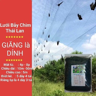 [Siêu Rẻ 😱] Lưới_BẪY_ CHIM_Chào_Mào_Sẻ_Choè_Cu_Gáy.v.v_Cao5m_dài10m_50m