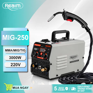 REAIM MIG/MMA Máy hàn Mini Biến Tần máy hàn mig không dùng khí IGBT máy hàn điện tử Di động đầu Ra đồng Nguyên