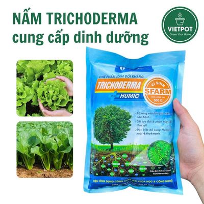 Nấm đối kháng Trichoderma Vietpot, ngừa nấm bệnh, ủ phân cải tạo đất cây khỏe mạnh, rễ phát triển