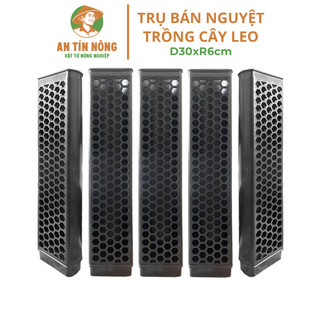 5 Trụ Bán Nguyệt Trồng Cây, D30xr6cm, Nhựa Cứng, Có Khớp Dễ Nối Dài, Chuyên Hệ Cây Kiểng Lá