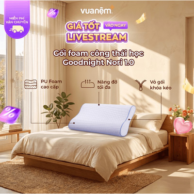 Gối Foam Goodnight Nori 1.0 30x60 cm lượn sóng nâng đỡ cổ vai gáy