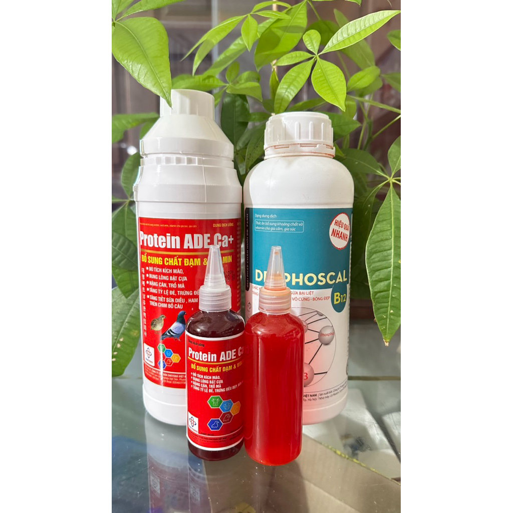 protein ADE canxi và Phoscal B12 - cho gà  từ 7 ngày tuổi đến lớn
