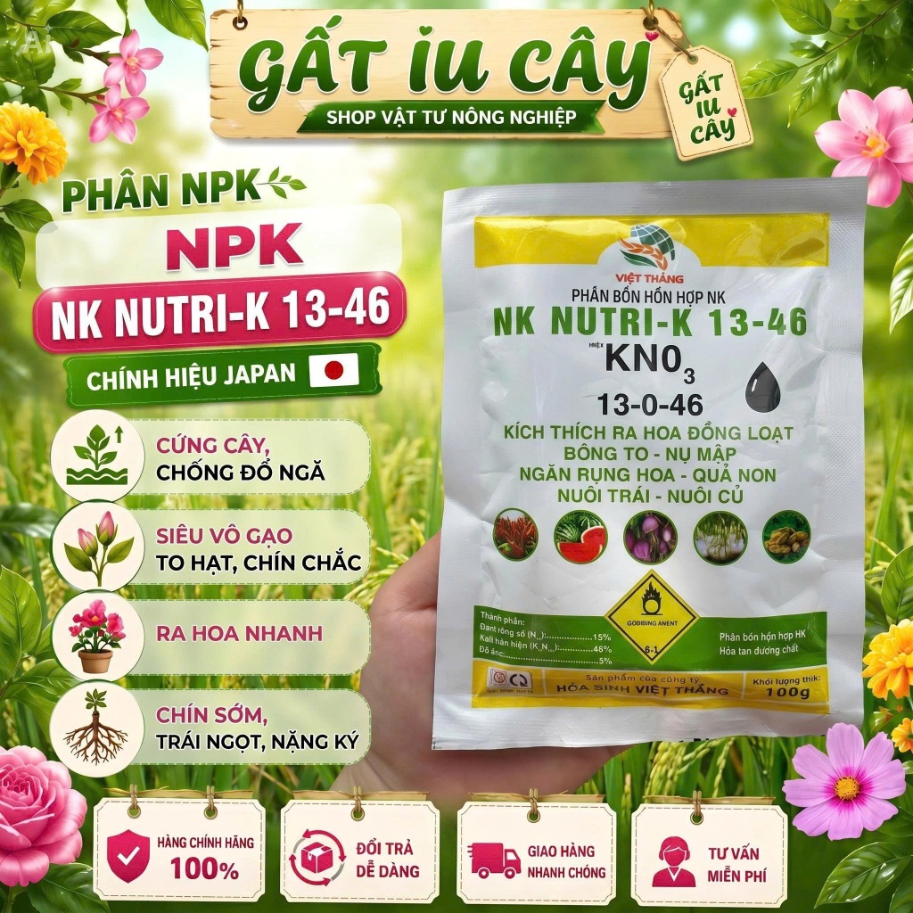 PHÂN BÓN NPK ( 13-0-46) kích ra hoa đồng loạt, bông to, mập nụ, khăn rụng hoa, rụng trái non, nuôi t