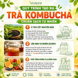 Combo 3 chai kombucha chill & 3 kombucha light, thơm ngon, chứa Probiotics, Vitamin B,C (Chai 250ml)