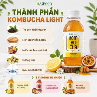 Combo 3 chai kombucha chill & 3 kombucha light, thơm ngon, chứa Probiotics, Vitamin B,C (Chai 250ml)