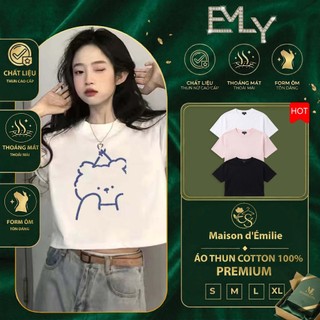 Áo Thun Croptop Nữ Basic Y2K Streetwear  - Chất Cotton 100% Mịn Đẹp - Form Lửng Cổ Tròn Cực Xinh - Hàng Hot Trend