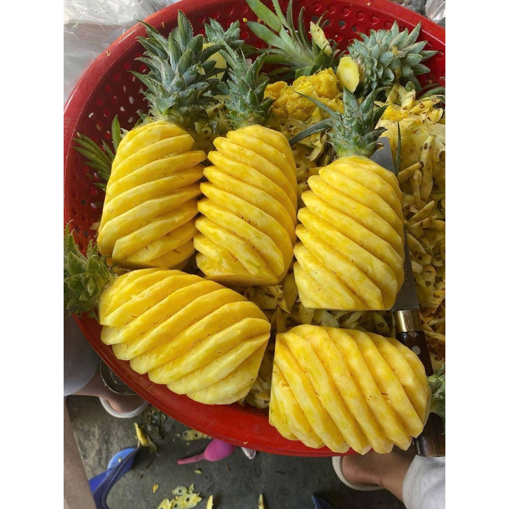 dứa quỳnh lưu nghệ an chỉ giao miền bắc miền trung