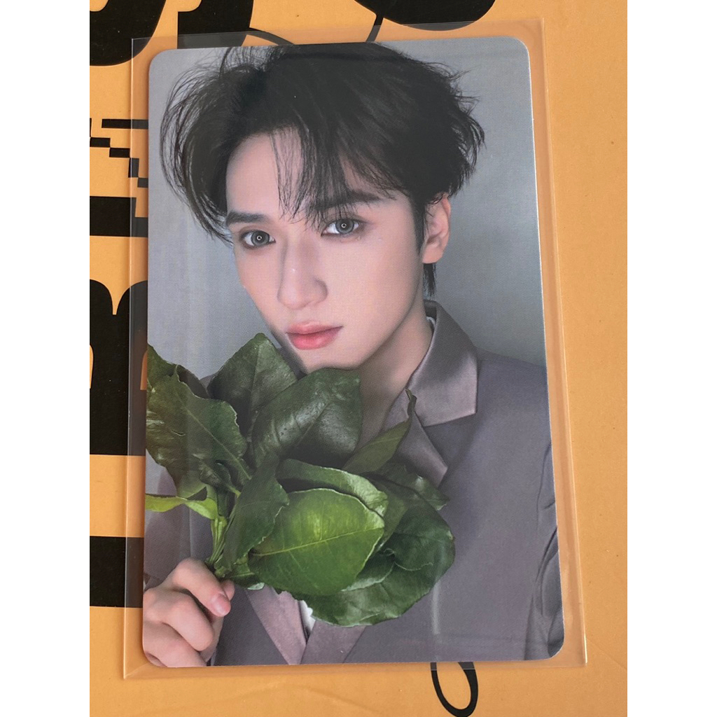 [OFFICIAL] card và pola set concert 6 năm TNT