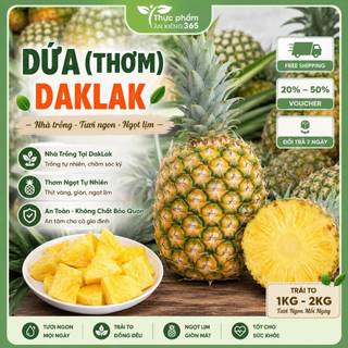Combo 2 Trái Dứa (Thơm) Mật Đắk Lắk Nhà Trồng Trái Tuyển 1-2Kg Giòn Ngọt Ăn Liền