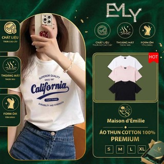 Áo Thun Croptop Nữ Basic Y2K Streetwear  - Chất Cotton 100% Mịn Đẹp - Form Lửng Cổ Tròn Cực Xinh - Hàng Hot Trend