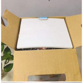 Máy xay sinh tố cối nhựa