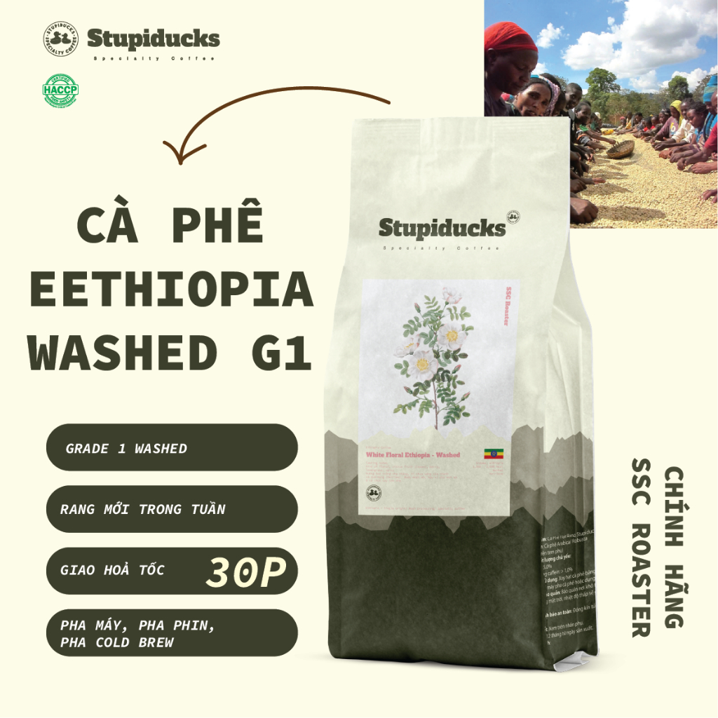 Cà phê Ethiopia Sidamo heirloom washed G1 ( New Crop) - Pour Over, Cold Brew, Espresso - Stupiducks 