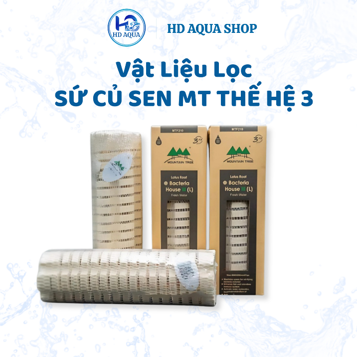 Sứ Củ Sen Mountain Tree Thế Hệ 3 (25cm x 8cm) 1 Thanh