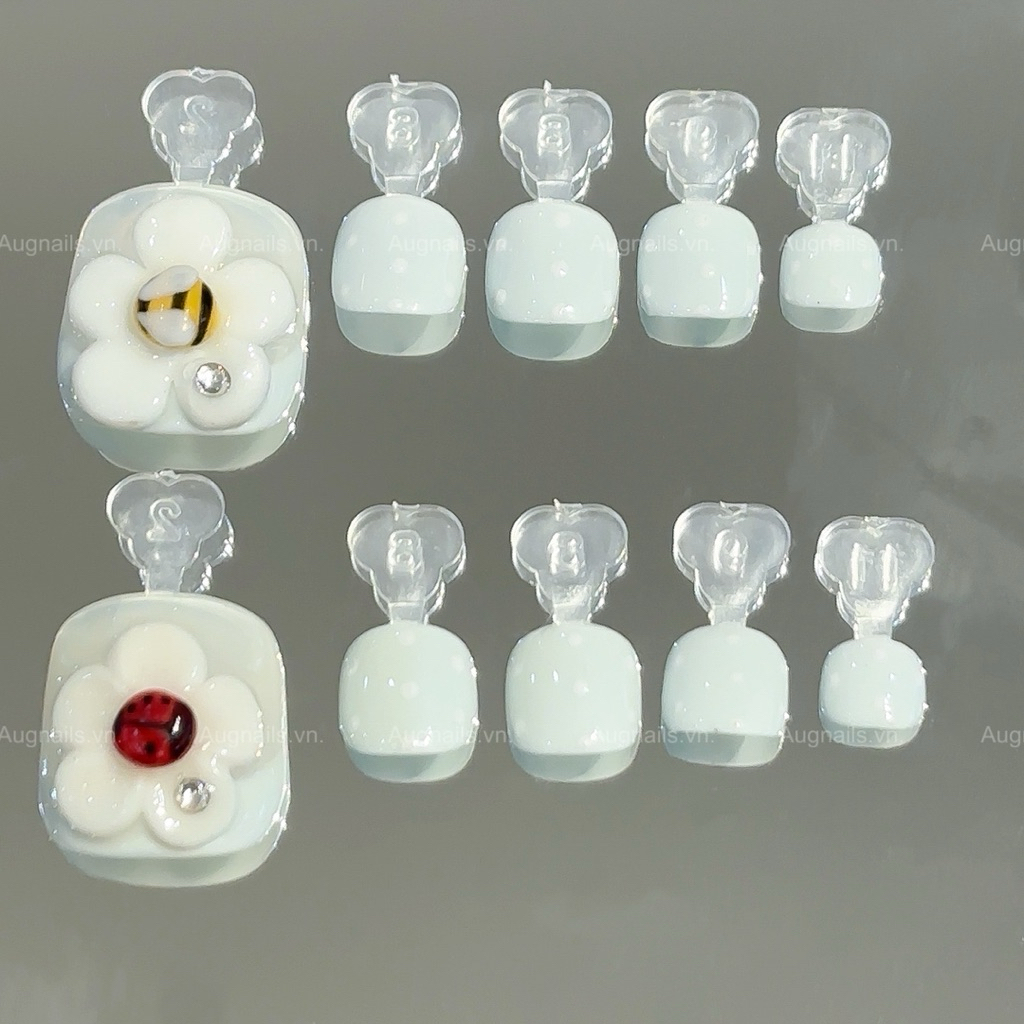 Nailbox Chân Augnails (M103)