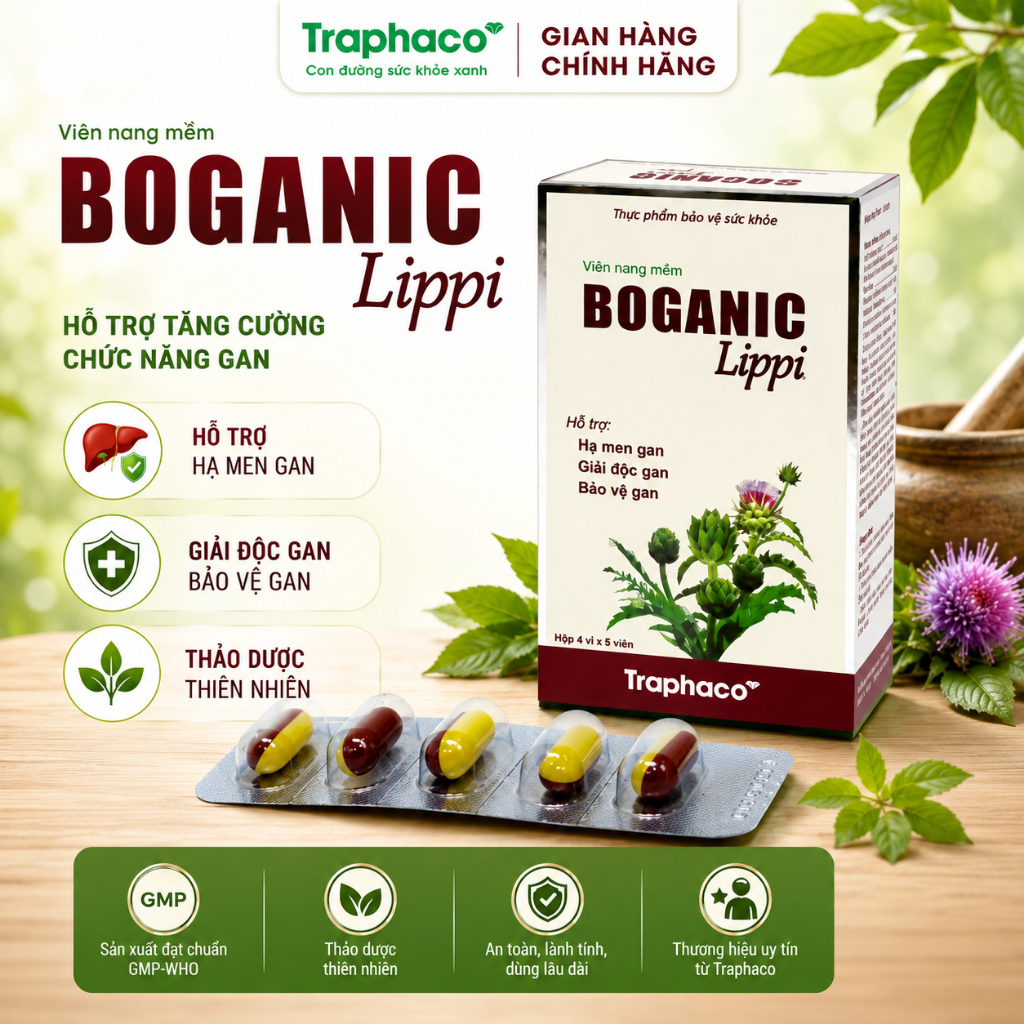 Boganic Lippi Traphaco hộp (30 viên) - Giải độc gan, bảo vệ, phục hồi và tăng cường chức năng gan.
