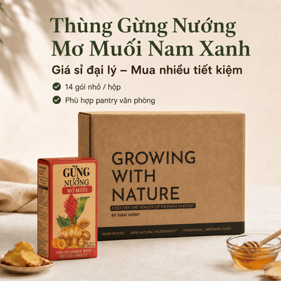 Thùng Gừng Nướng Mơ Muối Mật Ong Nam Xanh, Giá Tốt Cho Đại Lý, Pantry Văn Phòng, Mua Nhiều Giá Tốt