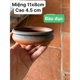 Chậu cây mini ( Sl : 10 chậu ) gốm bát tràng ovan đất nung Màu Ngẫu Nhiên