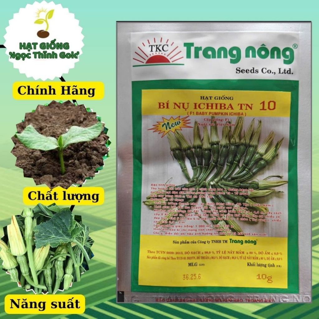 Hạt giống bí nụ ichiba tn 10 trang nông gói 10g