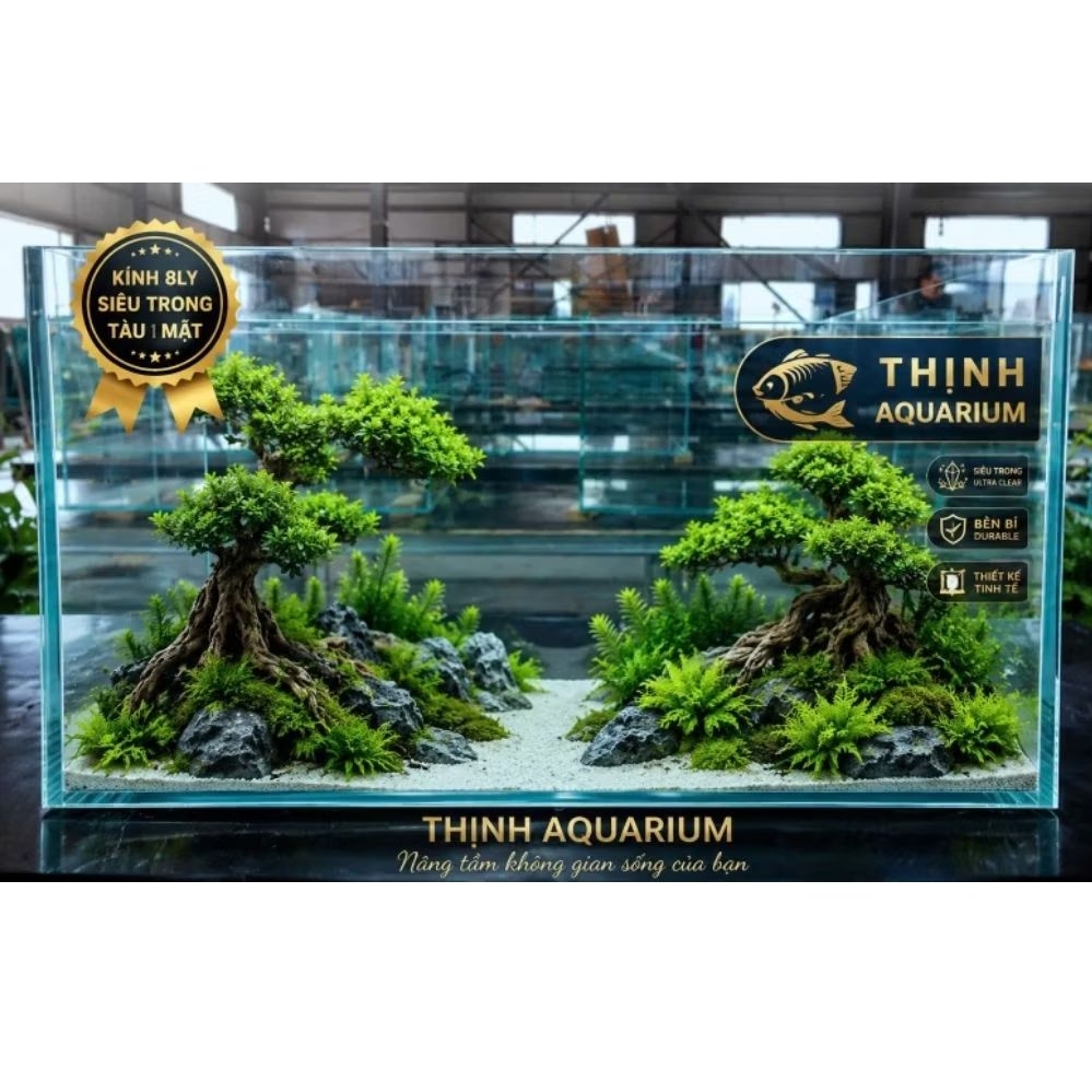 Hồ cá thủy sinh 60x40x40 (Siêu trong Tàu 1Mặt) kính 8ly Mài vi tính