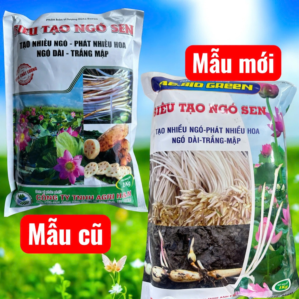 PHÂN BÓN CHUYÊN SEN LẤY NGÓ, BÔNG, GƯƠNG  SIÊU TẠO NGÓ SEN DẠNG BỘT TRỘN PHÂN GÓI 1 KÝ