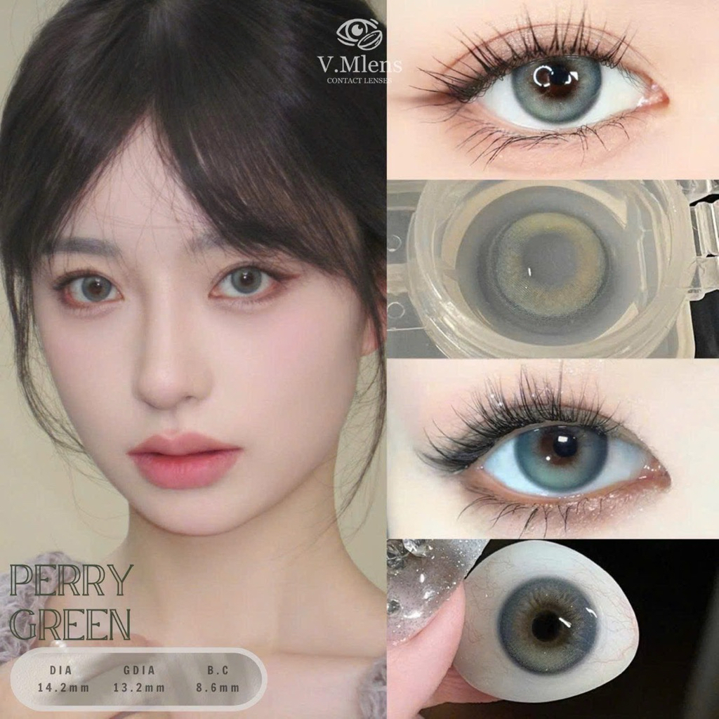 [GIÁ 1 ĐÔI x KHAY] Kính Áp Tròng 6 Tháng Perry Green - DIA 14.2mm | Lens Xanh Lá Trầm Cổ Vịt